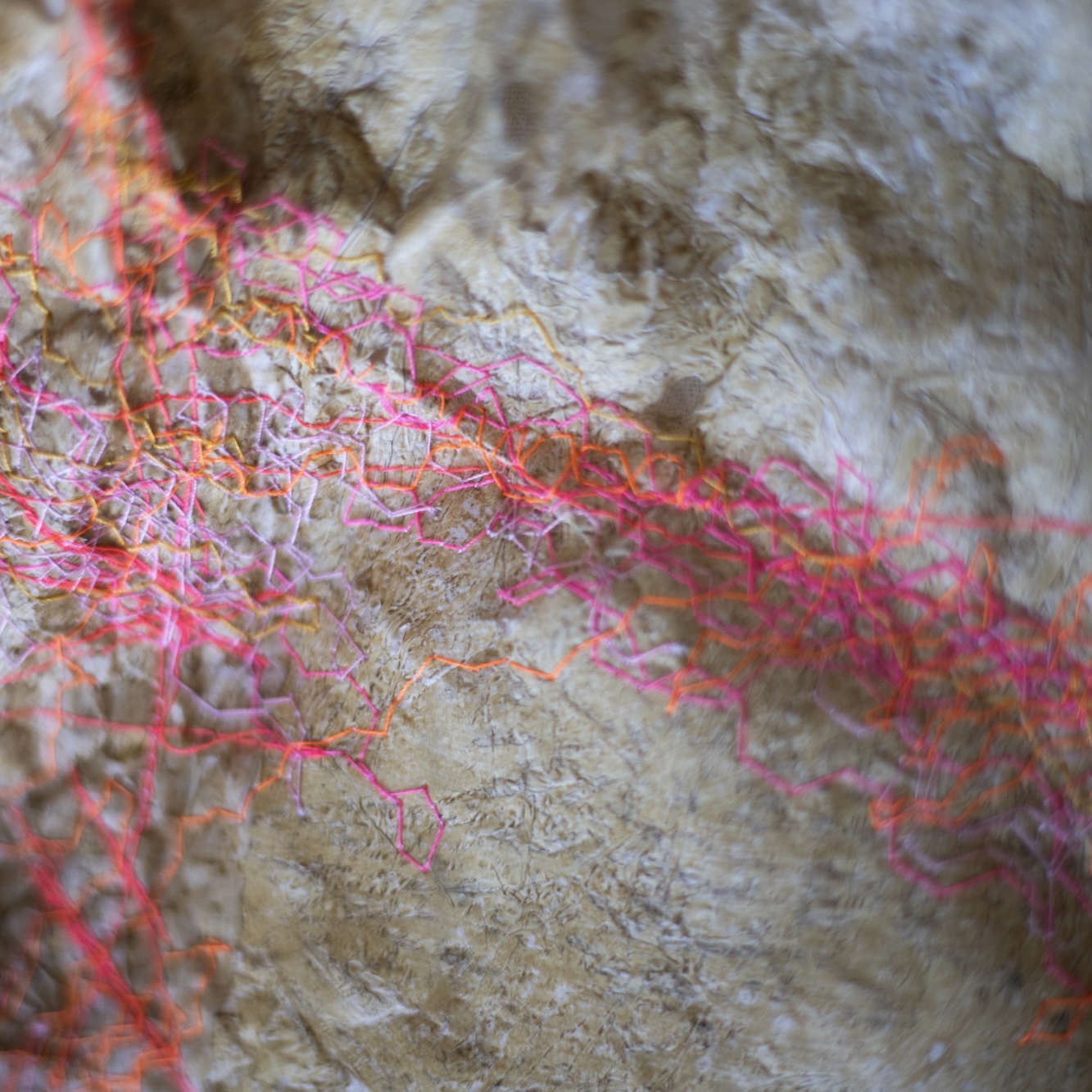 Memorias de cuerpo, detalle 1
