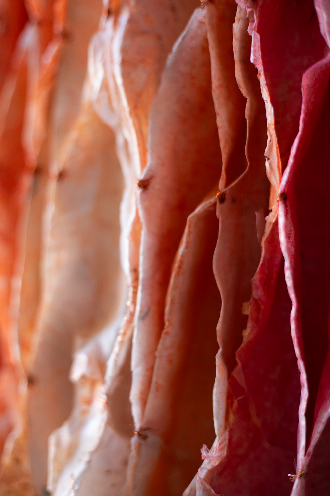 Pliegues, detalle 3