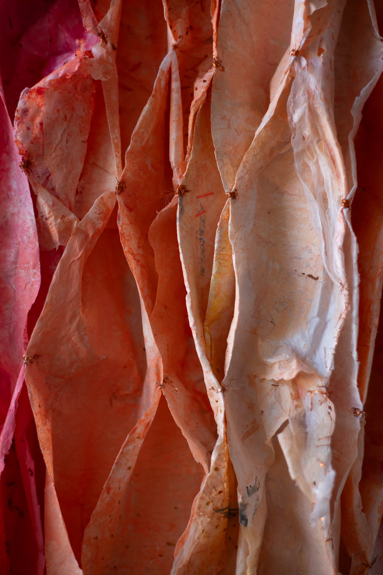 Pliegues, detalle 1