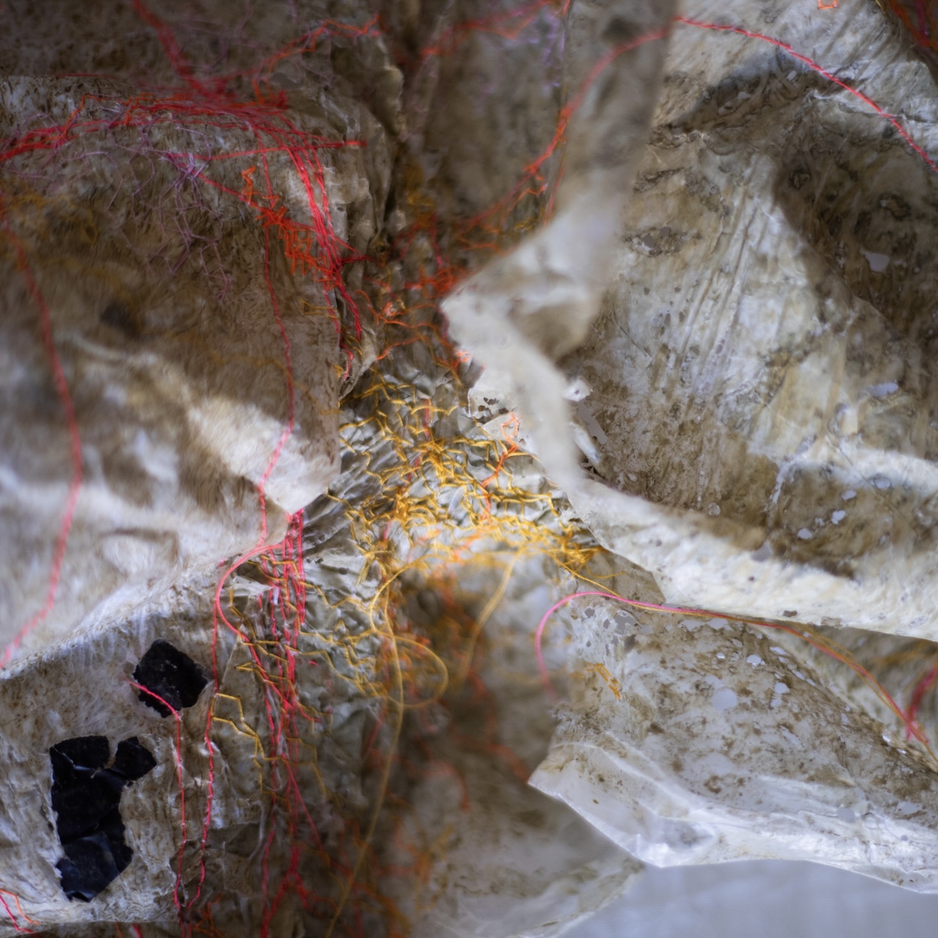 Memorias de cuerpo, detalle 2
