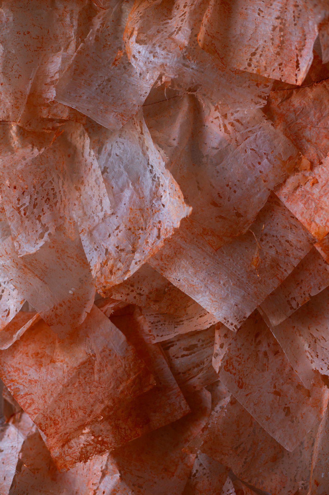 Naranja 1, detalle